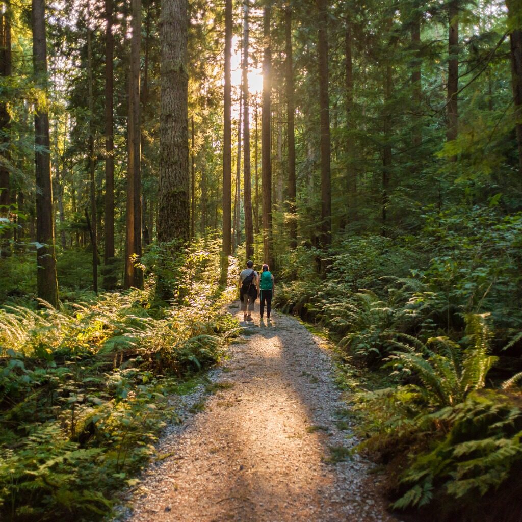 two people walking through the forest